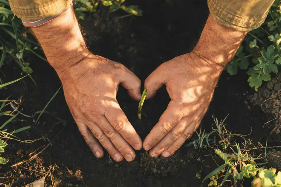 Aprire il giardino: i primi lavori primaverili in giardino