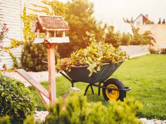 Giardino e balcone a novembre: come prepararsi alle gelate più forti?