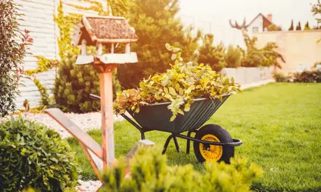 Giardino e balcone a novembre: come prepararsi alle gelate più forti?