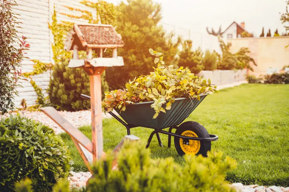 Giardino e balcone a novembre: come prepararsi alle gelate più forti?