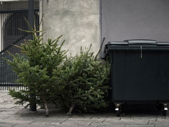 Quante cose si possono fare con l’albero di Natale?