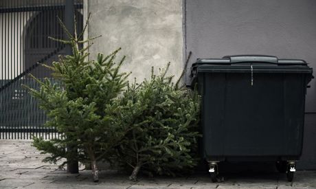 Quante cose si possono fare con l’albero di Natale?