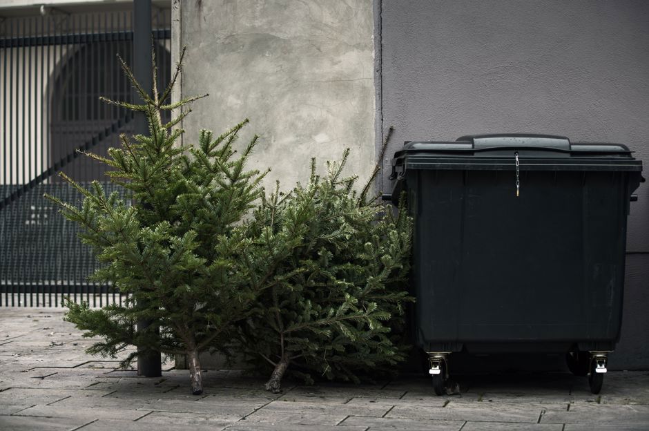 Quante cose si possono fare con l’albero di Natale?