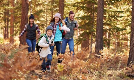 L'inverno sta finendo, portate i vostri bambini nel bosco! Giochi e idee per le prime passeggiate di primavera