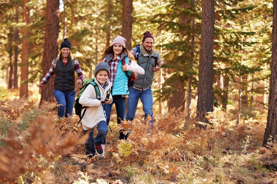 L'inverno sta finendo, portate i vostri bambini nel bosco! Giochi e idee per le prime passeggiate di primavera